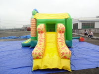 Château gonflable commercial Safari 6,5x4x3m avec toboggan pour événements