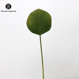 80Cm Nhân Tạo Bionic Màu Xanh Lá Cây PU Kết Cấu Hoa Duy Nhất Lá Cọ Trong Lụa Cho Cảnh Quan Hoa Sắp Xếp Màu Xanh Lá Cây Cây Fan Hâm Mộ Lá - Product Image 6