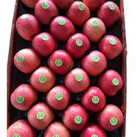 Prix des pommes fraîches de Chine/pomme rouge/pomme Fuji