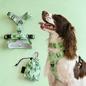 Custom Pattern Dog Harness With Matching Leash Collar No Pull Walking For Small Medium And Large Dogs