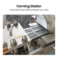 Machine d'emballage sous blister automatique ALU PVC à prix d'usine pour pilules, gélules, comprimés effervescents et comprimés pelliculés, avec scellage thermique