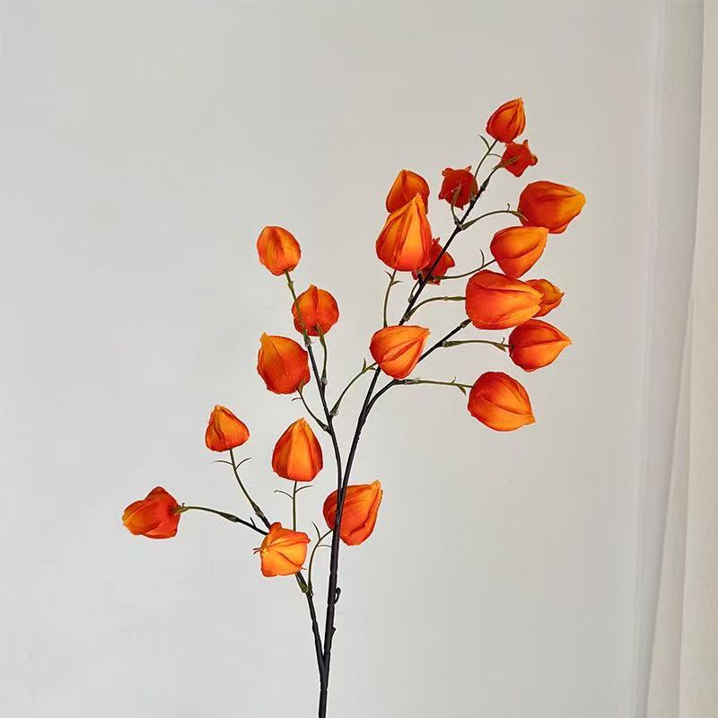 Orange rouge