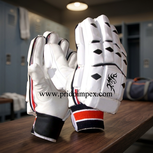 <b>Cricket</b> Batting Product - Product Image 3