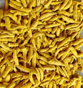 Rhizomes de curcuma, racines séchées, épices, ingrédient naturel à base de plantes pour la cuisine et les remèdes traditionnels - Product Image 6