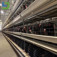 Kit de hangar pour volailles préfabriqué en structure métallique isolée, à énergie solaire durable, pour élevage de bétail