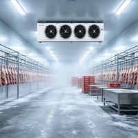 Unité de condensation à refroidissement par air Emerson Scroll R22 pour système de réfrigération industrielle avec évaporateur de congélateur rapide et refroidisseur