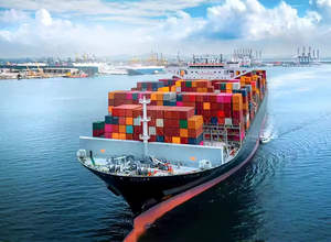 Servicio de Envío FCL LCL a Manzanillo DDP para Importaciones a México, Mercancías Peligrosas IATA IMDG a Ciudad de México, Entrega a Domicilio - Product Image 4