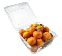 Rechthoek Wegwerp Pet Clear Fruit Groente Verpakking Plastic Transparante Aardbei/Groene Datum/Longan Take Out Container