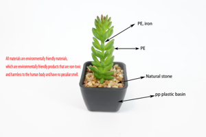 DIY creativo Micro paisaje Artificial Mini suculentas negro PP maceta miniatura planta suculenta - Product Image 5