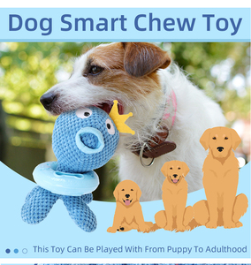 Manufacturers Little Pet Shop Large IQ <strong>Training</strong> Food Dispenser Interactive Pet and Motion <strong>Toys</strong> for <strong>Dogs</strong> Hamsters <strong>Birds</strong>