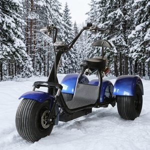 Triciclo Eléctrico Certificado por la EEC, 2000w, Marco de Aluminio, Neumáticos Anchos, 3 Ruedas, Batería de Litio de 60v, Motor sin Escobillas, Motor de Alta Potencia Y2 20 - Product Image 1