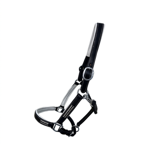 Harnais en cuir brillant pour chevaux - Bridon de course pour l'équitation, utilisation équestre avec couleur et logo personnalisables - Product Image 1