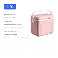 Mini-réfrigérateur portable isotherme 10L pour voiture, glacière robuste en PU pour camping extérieur, canettes, aliments et boissons