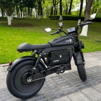 Vélo électrique Black Warrior 60ah avec batterie lithium amovible, étanche, en alliage d'aluminium, 60V, vélo de montagne électrique, pas encore d'avis