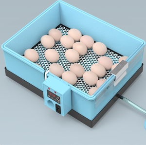 Incubadora automática de doble potencia, 36 huevos de gallina, el mejor <span class=keywords><strong>precio</strong></span>, aprobado por la CE, WQ-36 - Product Image 3