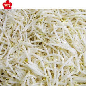 Cây Trồng Mới 2022 Nhà Cung Cấp Trung Quốc Bán Sỉ Giá Đậu Nành Đông Lạnh Chất Lượng Cao - Product Image 5