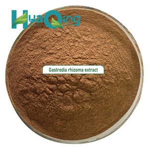 Erva chinesa Suplementos Gastrodia rhizoma extrato - Product Image 3