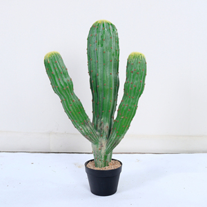 Plante de <span class=keywords><strong>cactus</strong></span> artificielle, plante paysagère, ornement de jardin pour la décoration intérieure et extérieure de la maison et du bureau, plantes artificielles - Product Image 1