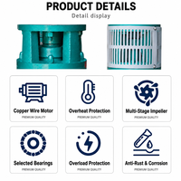 Pompe submersible QJ haute performance pour l'extraction agricole, avec écran filtrant en acier inoxydable moulé monobloc et multi-impellers, personnalisable OEM ODM
