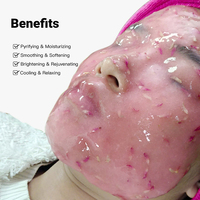 Vente en gros de masque de gelée biologique JMFREE Taille de voyage Pack de tasse décollable Poudre de masque de gelée pour les soins de la peau