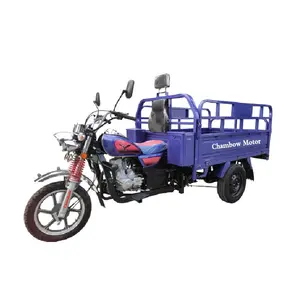 conversion kit tricycle/three wheel motorcycle gasoline adult/china cargo three wheel motorcycle for cambodia