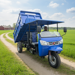 Triciclo Motocicleta Personalizable Más Vendido en Ghana con Capacidad <span class=keywords><strong>de</strong></span> Carga <span class=keywords><strong>de</strong></span> 1000 kg, Triciclo Motocicleta Diésel para Agricultura - Product Image 5