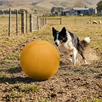 Funda Protectora para Pelotas de Pastoreo, Resistente a la Suciedad, al Desgaste y a Prueba de Explosiones, para Perros Pastores Australianos Blue Heeler y Border Collie, 1680D con Forro