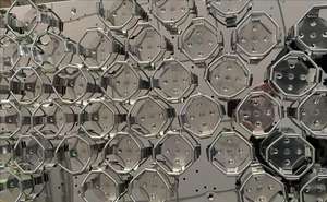 <span class=keywords><strong>Orbital</strong></span> <span class=keywords><strong>Shaker</strong></span>-mistura suave para cultura celular e baixo cisalhamento - Product Image 2