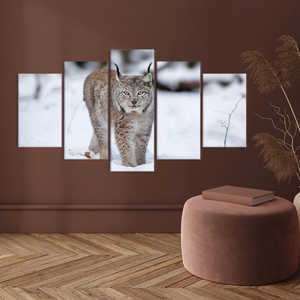 Tableau imprimé sur toile : Lynx d'hiver élégant dans la nature, lot de 5 toiles assorties - Product Image 3