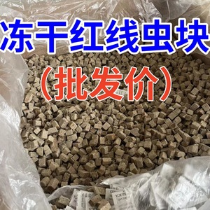 Nourriture pour poissons en ver rouges lyophilisés, nourriture pour crevettes, morceaux de nématodes rouges, petits poissons, poissons rouges, <span class=keywords><strong>guppy</strong></span>, nourriture pour tortues, Chine - Product Image 3