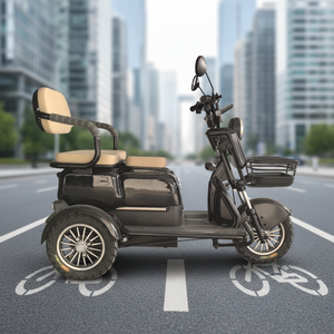 <span class=keywords><strong>Scooter</strong></span> Eléctrico Abierto de 3 Plazas con Certificación DOT |   60V 500W 30-50km/h |   Capacidad de Grado 25 |   Transporte para Zoológicos y Jardines Botánicos - Product Image 1