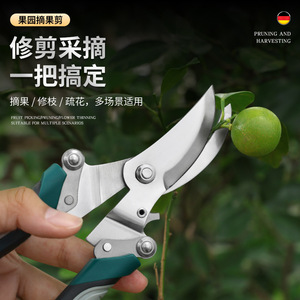 Tijeras de podar de acero inoxidable de 20.5 cm con mango verde, tijeras de podar manuales para ramas de árboles de jardín, para recortar de 10-20 mm - Product Image 5
