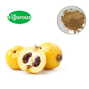 Extrait de graines de <span class=keywords><strong>Cydonia</strong></span> Oblonga biologique, bienfaits pour la santé, extrait de graines de coing - Product Image 1