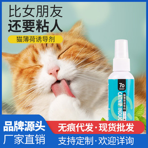 Spray à la catnip pour chats, 200g, collation pour animaux de compagnie, agent apaisant, friandise pour chatons et chats adultes - Product Image 5