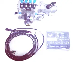 ShanDong KangDa Pompe D'injection BH4Q80R8 LIE26 B11-YFD20 4QE10 Pour Générateur