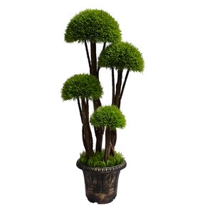Nhà Máy Giá Cảnh Quan Bonsai Cây Nhân Tạo Gỗ Hoàng Dương Bóng Cây Cây Nhân Tạo Màu Xanh Lá Cây Trong Nhà Ngoài Trời Trang Trí Nội Thất - Product Image 1
