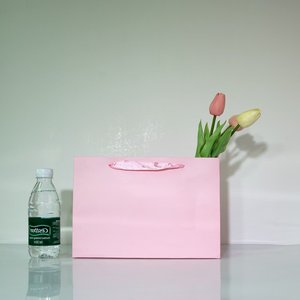 Luxury Paper Gift Bags for Bolsas-personalizadas-para-negocio Packaging for Shoes Clothing Recycled Materials Cotton Handle - Product Image 2