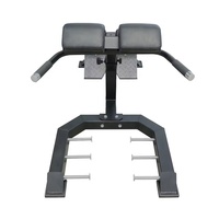 Salle de sport à usage commercial Entraîneur musculaire abdominal réglable à 45 degrés Banc d'exercice d'extension du dos hyper chaise romaine