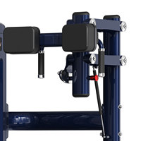 Machine de musculation commerciale Realleader, équipement de fitness pour la musculation, machine de rotation du torse pour la maison, prix d'usine