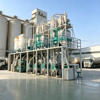 Ligne de production de farine de blé 50TPD, projet clé en main pour usine de meunerie automatique