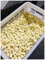 Gousses d'ail frais pelées de haute qualité en sachet sous vide et en sachet azoté – Approvisionnement en ail pelé provenant d'une usine professionnelle de production d'ail pelé