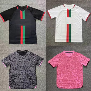 Alta calidad 2526 nueva temporada UNIFORMES DE EQUIPO de primera categoría camiseta de fútbol para adultos sublimación malla Logo Palestina corte automatizado niños - Product Image 2