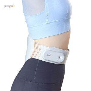 電気加熱深部組織刺激装置10療法Ems腹部バックウエストマッスルマッサージベルトマシン - Product Image 4