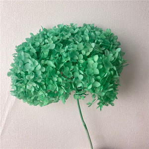 Rama Larga de Flor de Hortensia <span class=keywords><strong>Anna</strong></span> Preservada, Decorativa, Individual, para Decoración del Hogar, Bodas, Festivales, Eventos y Escenarios - Product Image 4