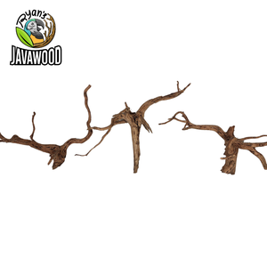 Bois décoratif en forme d'araignée naturel pour accessoires de décoration aqua scape altingia excelsa d'indonie - Product Image 6