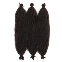 Cheveux de Tresse Pré-Séparés Afro Kinky Marley Printemps Afro Twist pour Crochets