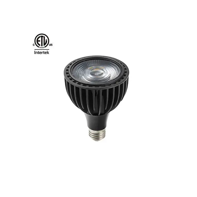 Daytonled Seri Batu Akik Jade ETL, Perhiasan CETL 35W 40W Par30 Lampu Sorot Led