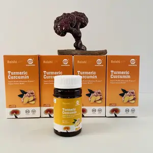 Ganoherb Turmeric Curcumin Supplements With USDA Organic Reishi Mushroom Extract Black Pepper Fruit Extract 350mg 60 Veggie