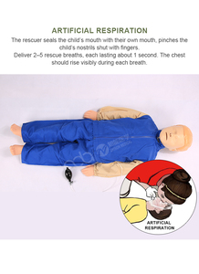 หุ่นจำลองการช่วยฟื้นคืนชีพเด็กขั้นสูง ได้รับการรับรองมาตรฐาน ISO รุ่น CPR170 แบบจำลองการสอนทางวิทยาศาสตร์การแพทย์ที่มีความเที่ยงตรงสูง พร้อมระบบตอบสนองอิเล็กทรอนิกส์ - Product Image 5