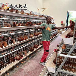 Nouvel équipement avicole à prix abordable : Cages à poules pondeuses à 3-4 niveaux <span class=keywords><strong>en</strong></span> acier galvanisé à chaud, capacité 90-160 poulets - Product Image 6